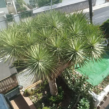 Casa Quico 2 بيت ضيافة *